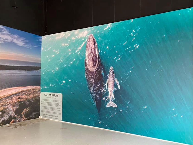 commercial signage 0005 wall murals lismore